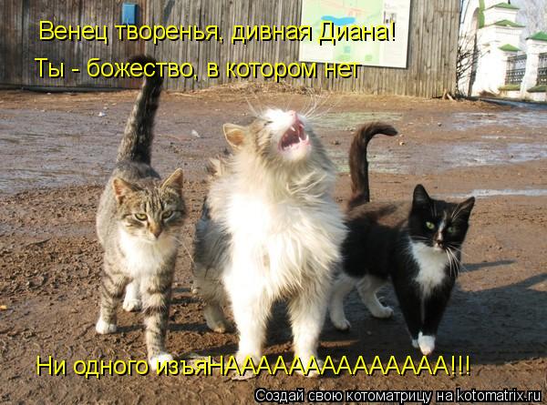 Венец творенья, дивная Диана! Ты - божество, Ты - божество, в котором нет Ни одного изъяНААААААААААА... Котоматрица: Венец творенья, дивная Диана! Ты - божество, Ты - божество, в котором нет Ни одного изъяНАААААААААААААА!!!