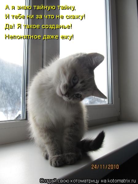 А я знаю тайную тайну, И тебе ни за что не скажу! Да! Я такое созданье! Непонятное даже ежу!... Котоматрица: А я знаю тайную тайну, И тебе ни за что не скажу! Да! Я такое созданье! Непонятное даже ежу!