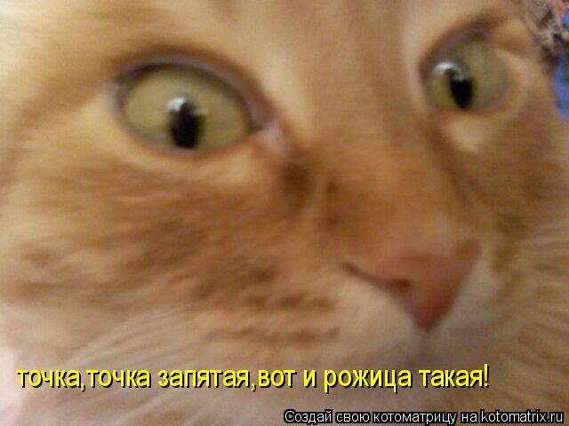 точка,точка запятая,вот и рожица такая!... Котоматрица: точка,точка запятая,вот и рожица такая!