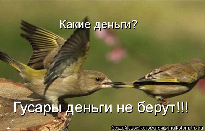 Какие деньги? Гусары деньги не берут!!!... Котоматрица: Какие деньги? Гусары деньги не берут!!!