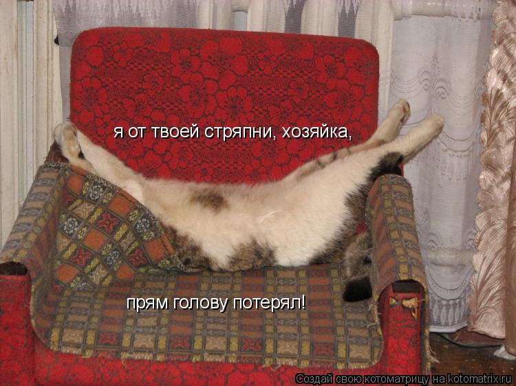 я от твоей стряпни, хозяйка, прям голову потерял!... Котоматрица: я от твоей стряпни, хозяйка, прям голову потерял!