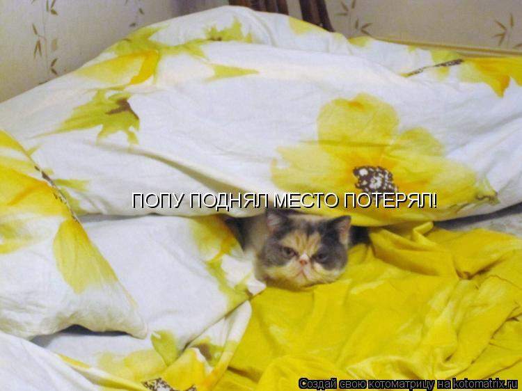 Котоматрица: ПОПУ ПОДНЯЛ МЕСТО ПОТЕРЯЛ!