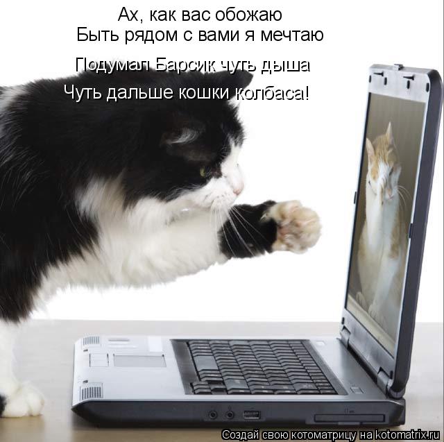 Котоматрица: Ах, как вас обожаю Быть рядом с вами я мечтаю Подумал Барсик чуть дыша Чуть дальше кошки колбаса!