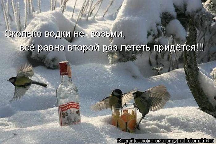 Котоматрица: Сколько водки не  возьми, всё равно второй раз лететь придётся!!!