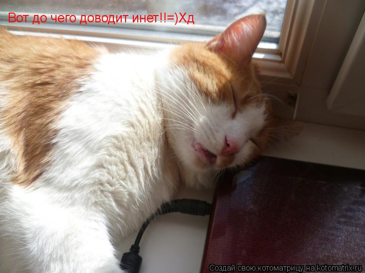 Котоматрица: Вот до чего доводит инет!!=)Хд