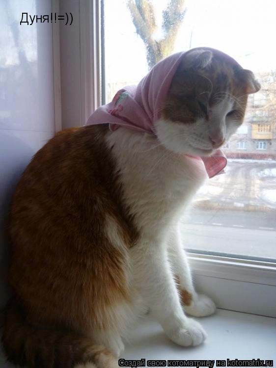 Дуня!!=))... Котоматрица: Дуня!!=))