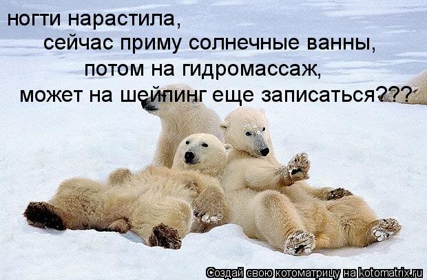 ногти нарастила, сейчас приму солнечные ванны, потом на гидромассаж, может на шейпинг еще записать... Котоматрица: ногти нарастила, сейчас приму солнечные ванны, потом на гидромассаж, может на шейпинг еще записаться???