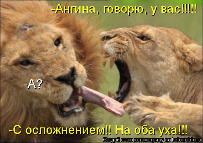 -Ангина, говорю, у вас!!!!! -А? -С осложнением!! На оба уха!!!... Котоматрица: -Ангина, говорю, у вас!!!!! -А? -С осложнением!! На оба уха!!!