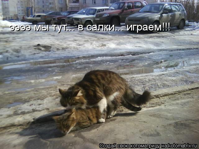 ээээ мы тут... в салки... играем!!!... Котоматрица: ээээ мы тут... в салки... играем!!!