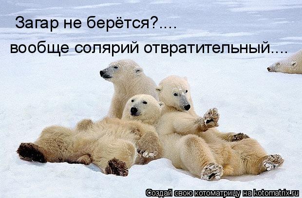 Загар не берётся?.... вообще солярий отвратительный....... Котоматрица: Загар не берётся?.... вообще солярий отвратительный....