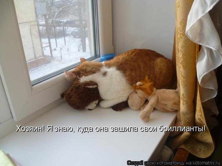 Хозяин! Я знаю, куда она зашила свои бриллианты!... Котоматрица: Хозяин! Я знаю, куда она зашила свои бриллианты!