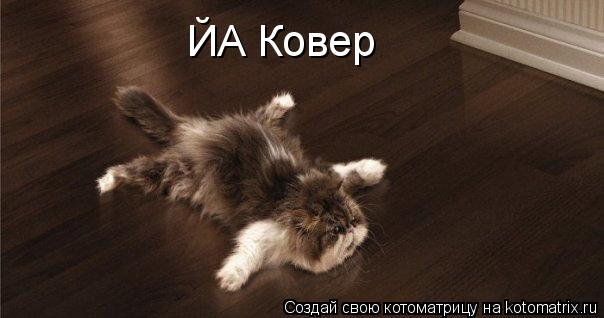 ЙА Ковер... Котоматрица: ЙА Ковер