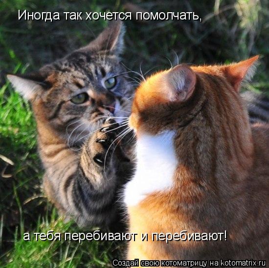 Иногда так хочется помолчать, а тебя перебивают и перебивают!... Котоматрица: Иногда так хочется помолчать, а тебя перебивают и перебивают!