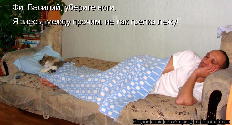 Котоматрица: - Фи, Василий, уберите ноги. Я здесь, между прочим, не как грелка лежу!