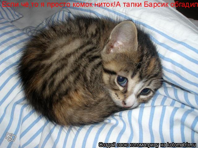 Если чё,то я просто комок ниток!А тапки Барсик обгадил!... Котоматрица: Если чё,то я просто комок ниток!А тапки Барсик обгадил!