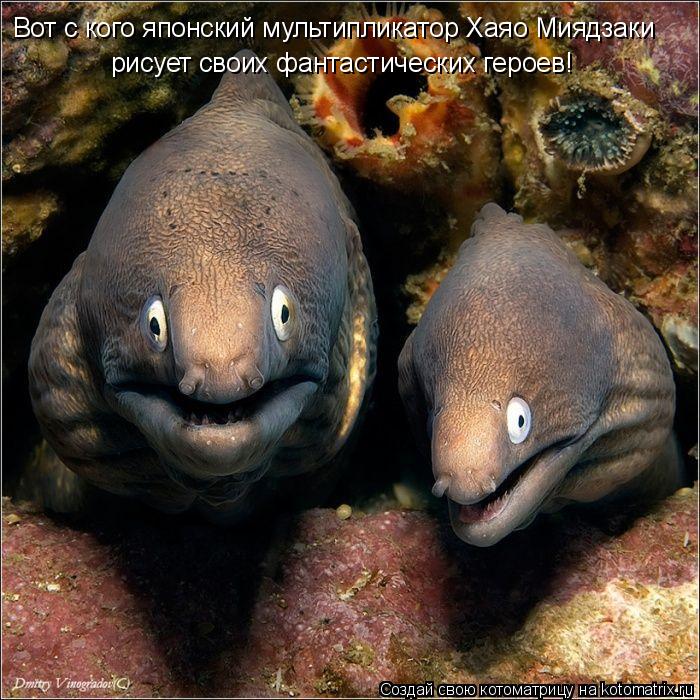 Вот с кого японский мультипликатор Хаяо Миядзаки рисует своих фантастических героев!... Котоматрица: Вот с кого японский мультипликатор Хаяо Миядзаки рисует своих фантастических героев!