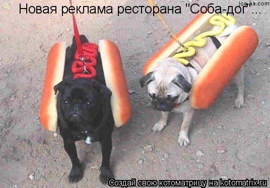 Новая реклама ресторана "Соба-дог"...... Котоматрица: Новая реклама ресторана "Соба-дог"...