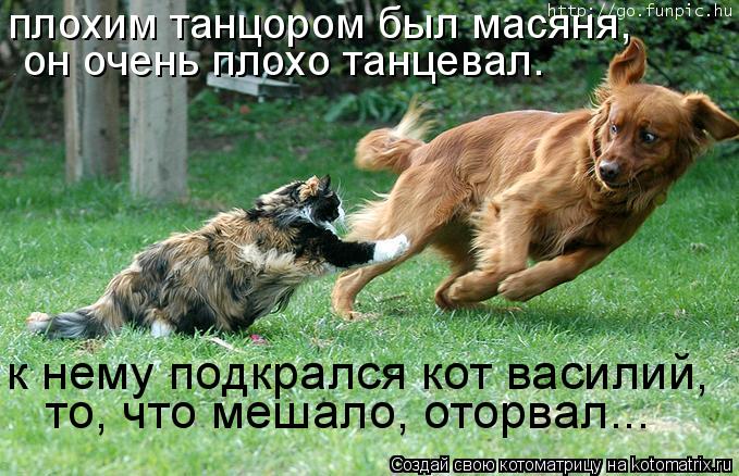 плохим танцором был масяня, он очень плохо танцевал. к нему подкрался кот василий, то, что мешало, ... Котоматрица: плохим танцором был масяня, он очень плохо танцевал. к нему подкрался кот василий, то, что мешало, оторвал...