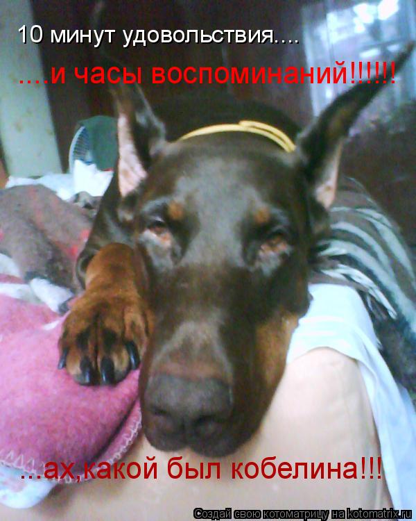 10 минут удовольствия.... ....и часы воспоминаний!!!!!! ...ах,какой был кобелина!!!... Котоматрица: 10 минут удовольствия.... ....и часы воспоминаний!!!!!! ...ах,какой был кобелина!!!