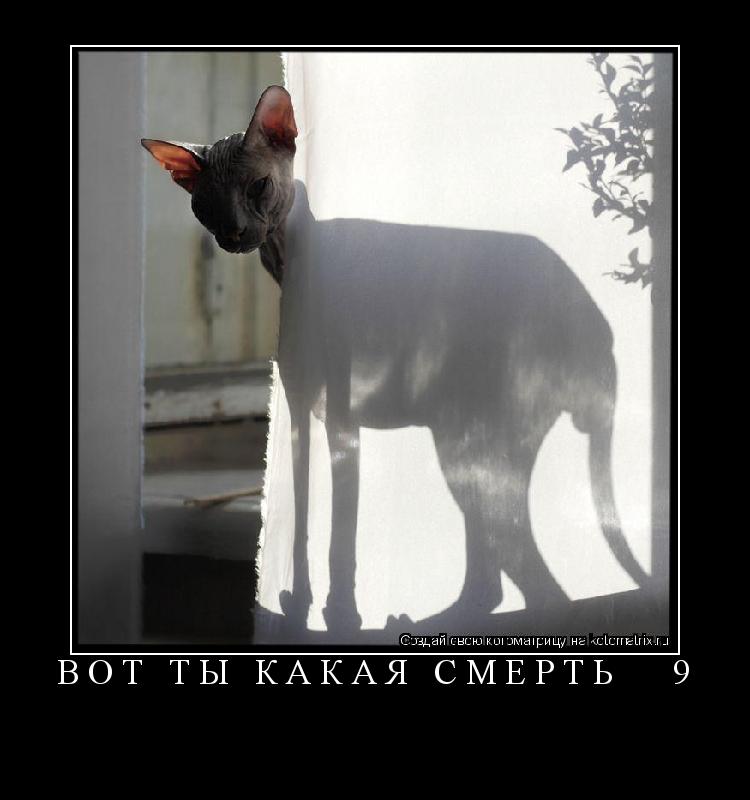 Котоматрица: Вот ты какая смерть № 9 