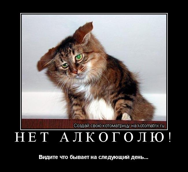 Котоматрица: Нет алкоголю! Видите что бывает на следующий день...