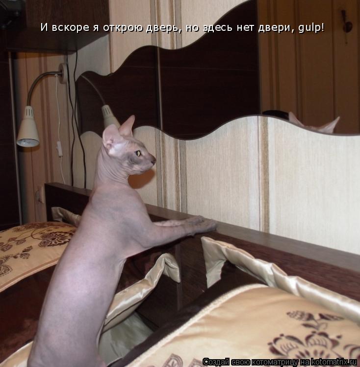 И вскоре я открою дверь, но здесь нет двери, gulp!... Котоматрица: И вскоре я открою дверь, но здесь нет двери, gulp!