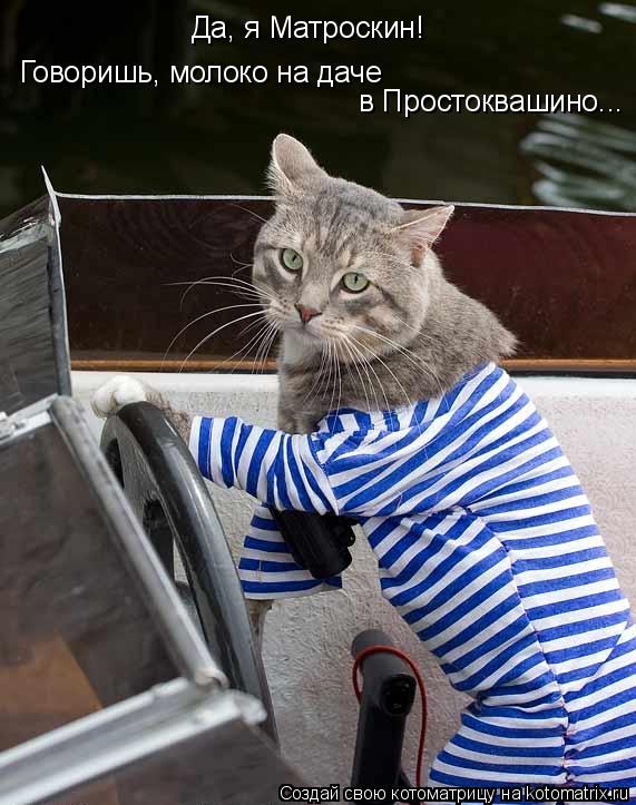 Да, я Матроскин! Говоришь, молоко на даче в Простоквашино...... Котоматрица: Да, я Матроскин! Говоришь, молоко на даче в Простоквашино...