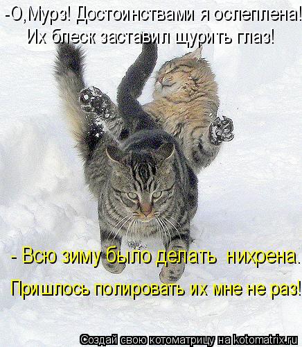 -О,Мурз! Достоинствами я ослеплена! Их блеск заставил щурить глаз! - Всю зиму было делать нихрена. П... Котоматрица: -О,Мурз! Достоинствами я ослеплена! Их блеск заставил щурить глаз! - Всю зиму было делать нихрена. Пришлось полировать их мне не раз!