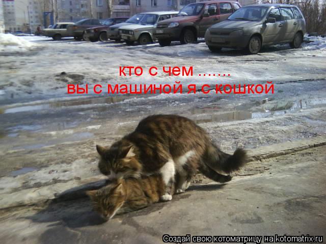 Котоматрица: кто с чем вы с машиной я с кошкой .......