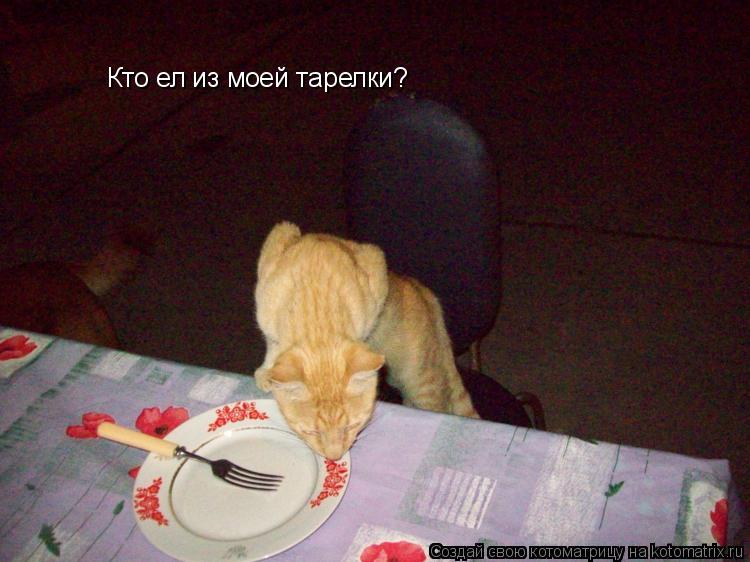 Котоматрица: Кто ел из моей тарелки?