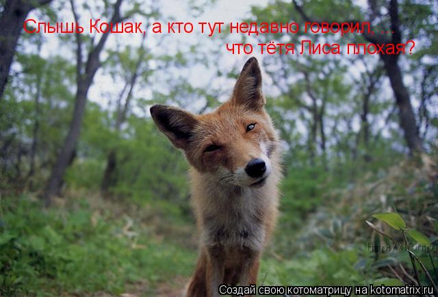 Котоматрица: Слышь Кошак, а кто тут недавно говорил, ... что тётя Лиса плохая?