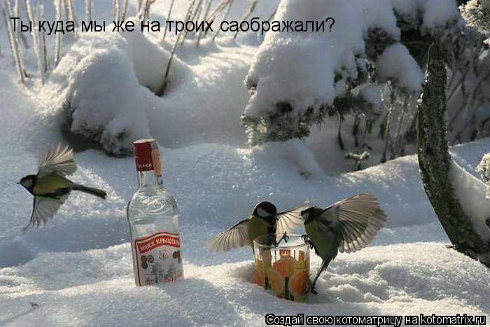 Котоматрица: Ты куда мы же на троих саображали?
