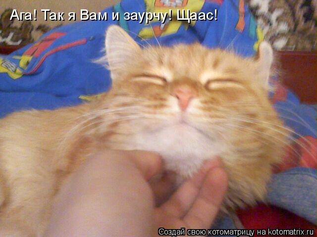 Ага! Так я Вам и заурчу! Щаас!... Котоматрица: Ага! Так я Вам и заурчу! Щаас!
