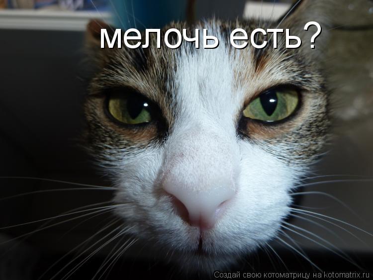 Котоматрица: мелочь есть?