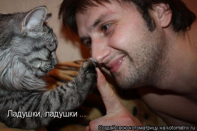 Ладушки, ладушки ...... Котоматрица: Ладушки, ладушки ...