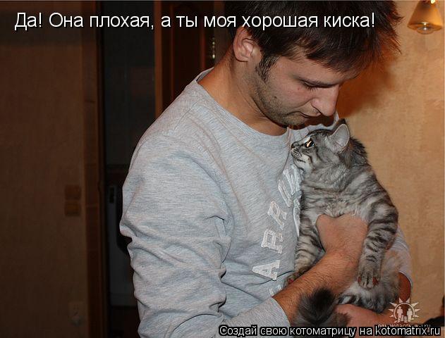 Да! Она плохая, а ты моя хорошая киска!... Котоматрица: Да! Она плохая, а ты моя хорошая киска!