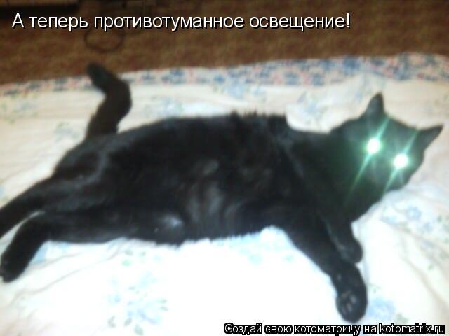 А теперь противотуманное освещение!... Котоматрица: А теперь противотуманное освещение!