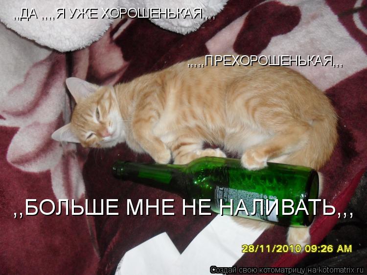 Котоматрица: ,,ДА ,,,,Я УЖЕ ХОРОШЕНЬКАЯ,,,, ,,,,,ПРЕХОРОШЕНЬКАЯ,,, ,,БОЛЬШЕ МНЕ НЕ НАЛИВАТЬ,,,