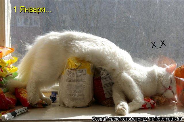 Котоматрица: 1 Января... Х_Х