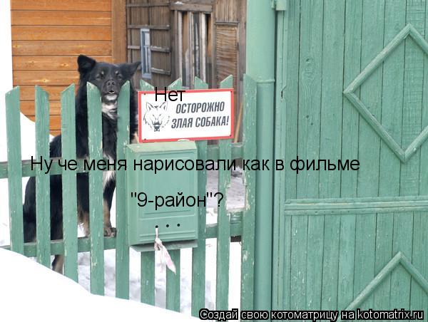 Котоматрица: Нет Ну че меня нарисовали как в фильме  "9-район"?