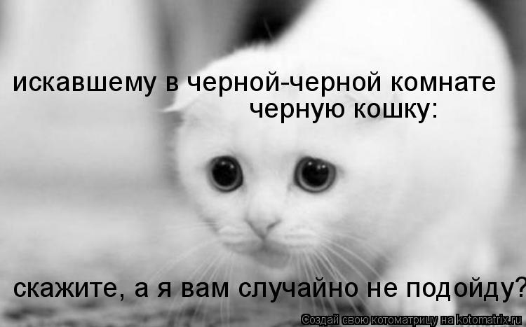 Котоматрица: искавшему в черной-черной комнате черную кошку: скажите, а я вам случайно не подойду?