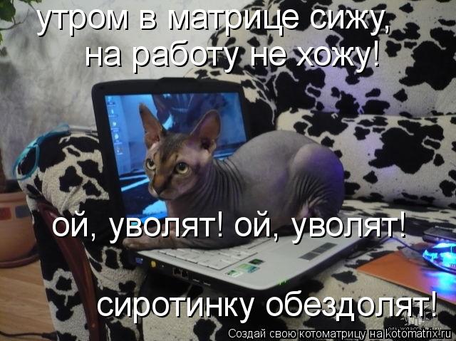 Котоматрица: утром в матрице сижу,  на работу не хожу! ой, уволят! ой, уволят! сиротинку обездолят!