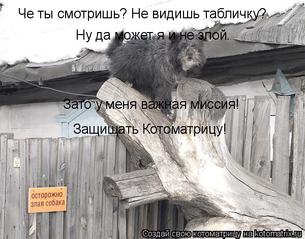 Че ты смотришь? Не видишь табличку? Ну да может я и не злой. Зато у меня важная миссия! Защищать Кото... Котоматрица: Че ты смотришь? Не видишь табличку? Ну да может я и не злой. Зато у меня важная миссия! Защищать Котоматрицу!