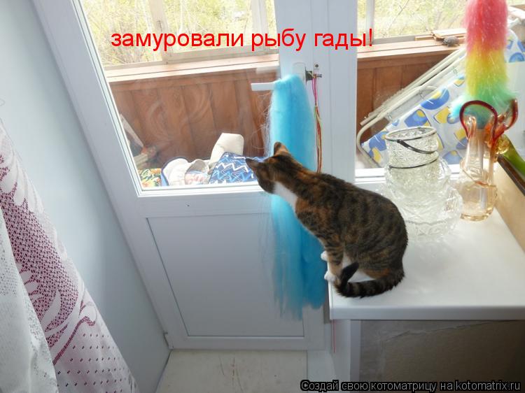 замуровали рыбу гады!... Котоматрица: замуровали рыбу гады!