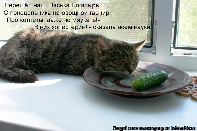 Перешёл наш Васька Богатырь С понедельника на овощной гарнир «Про котлеты даже не мяукать!- В них ... Котоматрица: Перешёл наш Васька Богатырь С понедельника на овощной гарнир «Про котлеты даже не мяукать!- В них холестерин!“- сказала всем наука.
