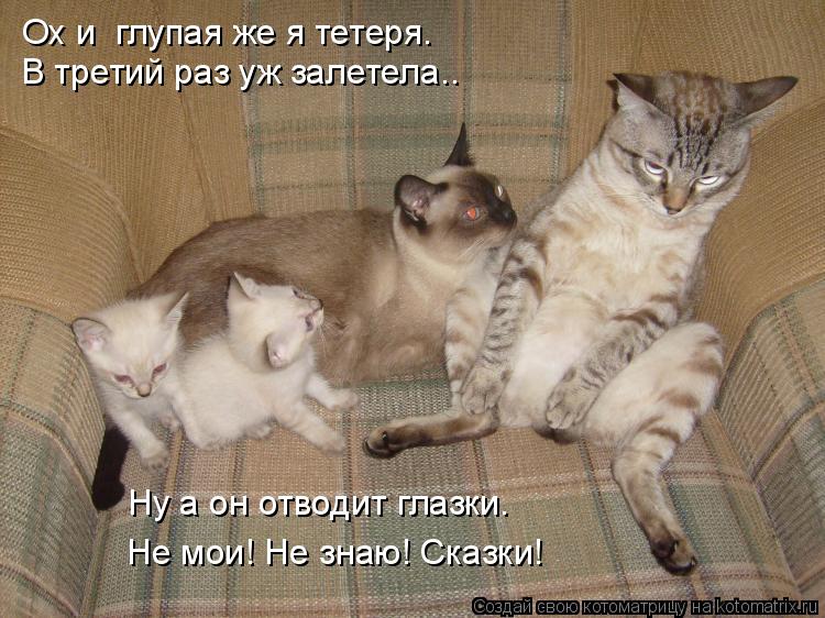 Ох и глупая же я тетеря. В третий раз уж залетела.. Ну а он отводит глазки. Не мои! Не знаю! Сказки!... Котоматрица: Ох и глупая же я тетеря. В третий раз уж залетела.. Ну а он отводит глазки. Не мои! Не знаю! Сказки!