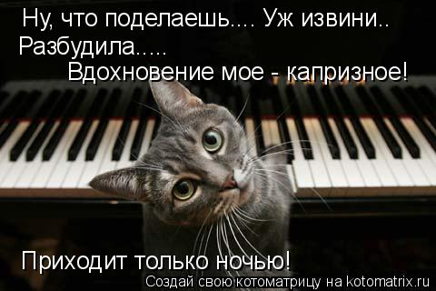 Ну, что поделаешь.... Уж извини.. Разбудила..... Вдохновение мое - капризное! Приходит только ночью!... Котоматрица: Ну, что поделаешь.... Уж извини.. Разбудила..... Вдохновение мое - капризное! Приходит только ночью!
