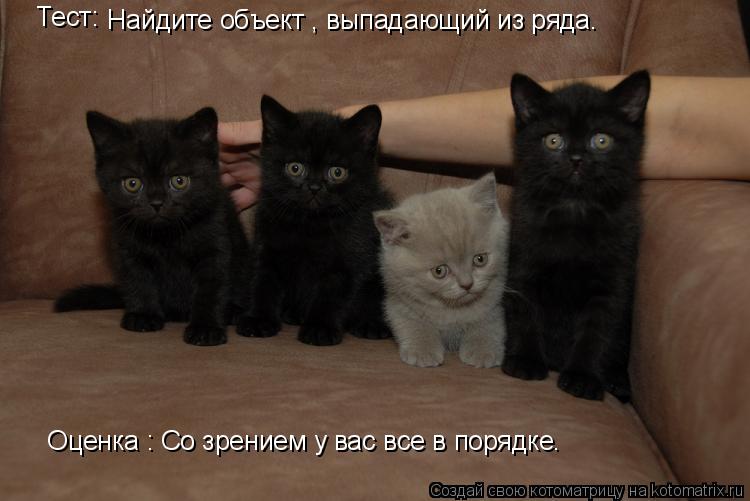 Найдите объект , выпадающий из ряда. Тест: Оценка : Со зрением у вас все в порядке.... Котоматрица: Найдите объект , выпадающий из ряда. Тест: Оценка : Со зрением у вас все в порядке.