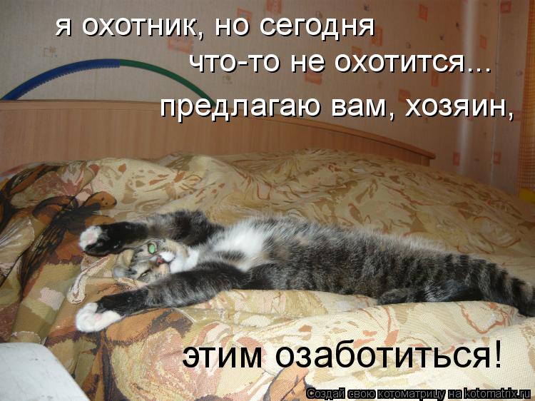 я охотник, но сегодня что-то не охотится... предлагаю вам, хозяин, этим озаботиться!... Котоматрица: я охотник, но сегодня что-то не охотится... предлагаю вам, хозяин, этим озаботиться!