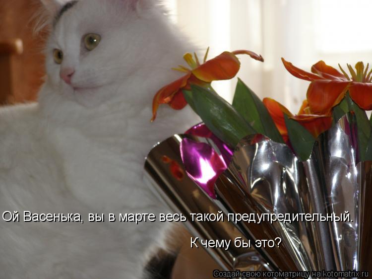 Ой Васенька, вы в марте весь такой предупредительный. К чему бы это?... Котоматрица: Ой Васенька, вы в марте весь такой предупредительный. К чему бы это?